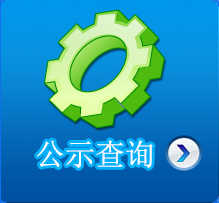 公示查询